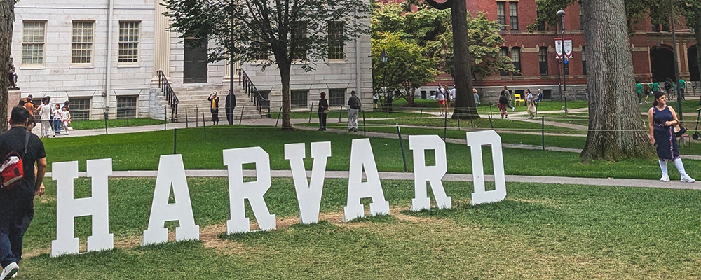 harvard-cours-jardin-LauraChoquet-stage harvard-cours-jardin-LauraChoquet-stage