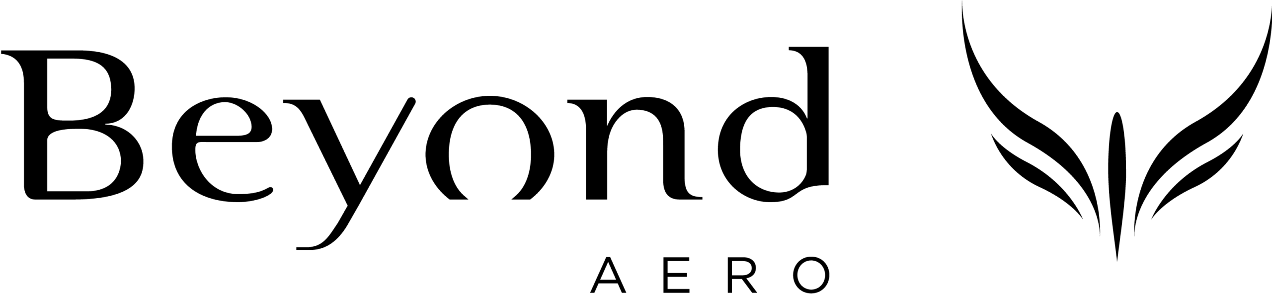 Beyond Aero 2026 -logo_noir
